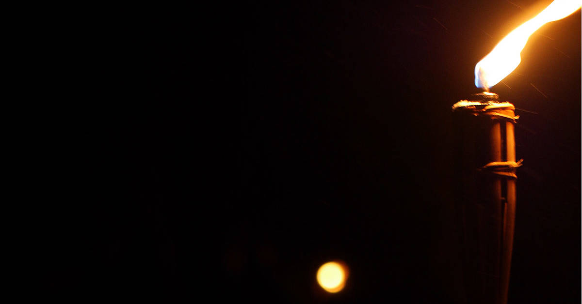 You are currently viewing L&rsquo;arrivée d&rsquo;un voyageur mystère…